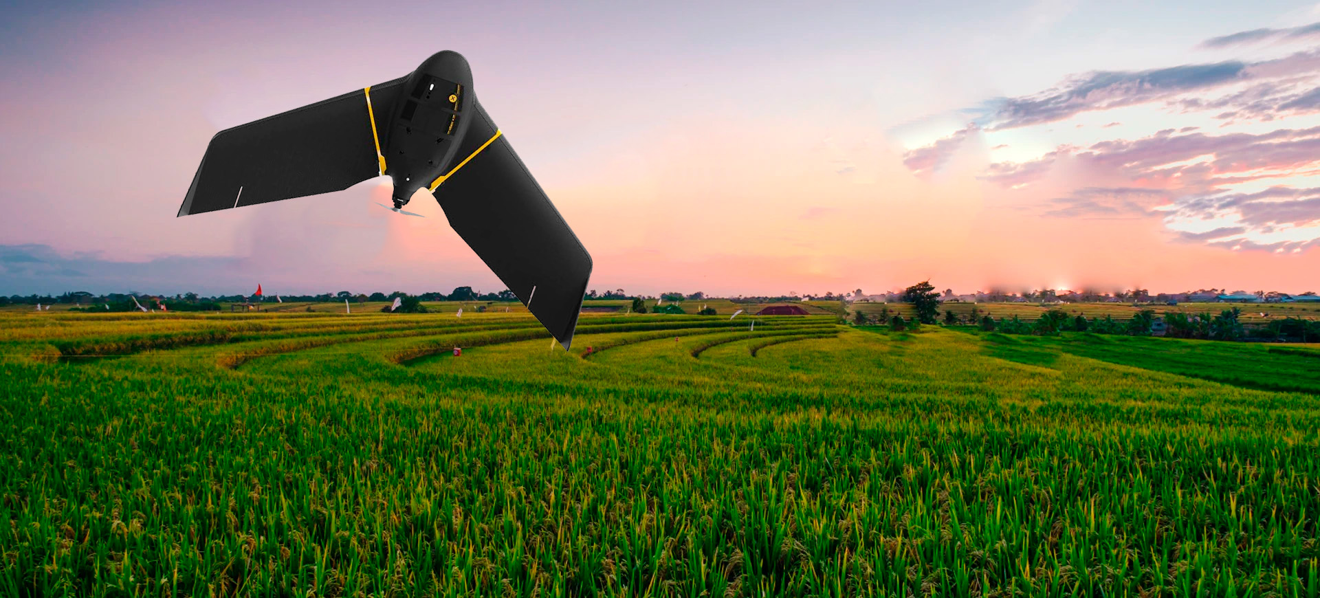 agro bee